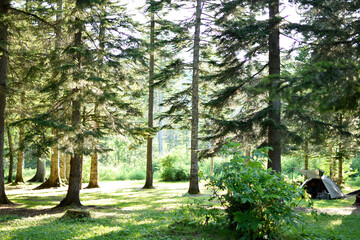 林間キャンプ場