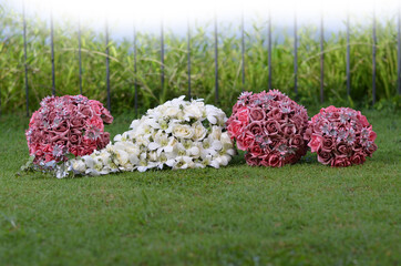 flowers bokeh in the grass _ Sri Lanka wedding