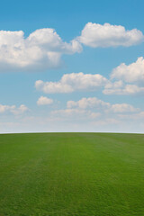 green grass and blue sky, bird eye view