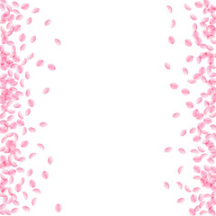 Sakura petals falling down. Romantic pink silky sm