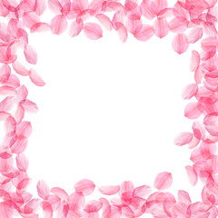 Sakura petals falling down. Romantic pink silky bi