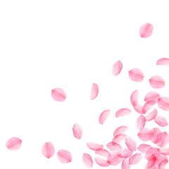 Obraz na płótnie Canvas Sakura petals falling down. Romantic pink silky bi