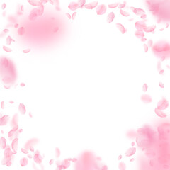 Fototapeta premium Sakura petals falling down. Romantic pink flowers 