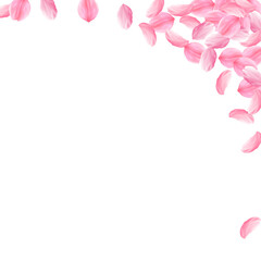 Sakura petals falling down. Romantic pink bright b