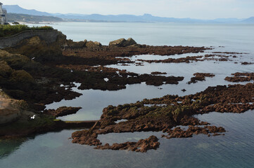 Low tide at the coast of Biarritz in the Bay of Biscay, France