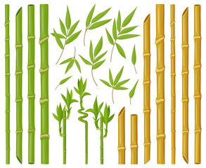 Cartoon bamboo plants. Asian bamboo stems, stalks and leaves, fresh green stick plants with foliage, natural bamboo plant vector illustration set. Brown decorative detailed elements