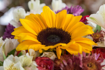 closeup of sunflower that is among more flowers of different sizes, detail of the petals and leaf, bouquet of flowers, nature