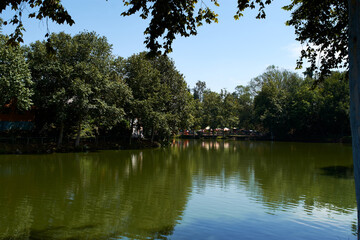Lake surrounded by trees and games in the background