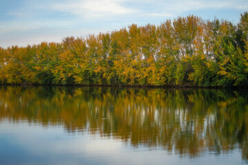 autumn trees reflected in water