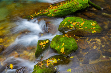 Autumn scenery of Muyu Xiangxiyuan in Shennongjia, Hubei, China
