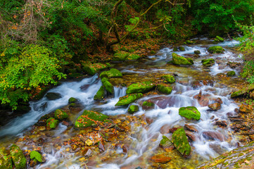 Autumn scenery of Muyu Xiangxiyuan in Shennongjia, Hubei, China

