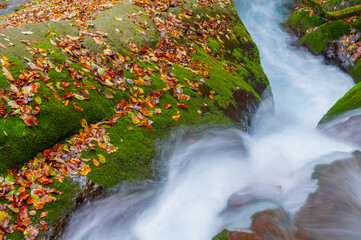 Obraz na płótnie Canvas Autumn scenery of Muyu Xiangxiyuan in Shennongjia, Hubei, China 