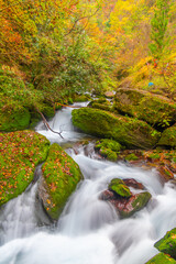 Autumn scenery of Muyu Xiangxiyuan in Shennongjia, Hubei, China
