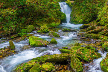 Autumn scenery of Muyu Xiangxiyuan in Shennongjia, Hubei, China
