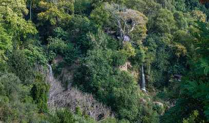 forest in the valley, waterfall, antioch, - turkey,