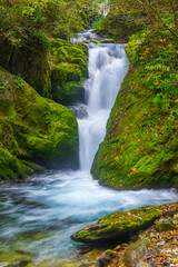 Autumn scenery of Muyu Xiangxiyuan in Shennongjia, Hubei, China
