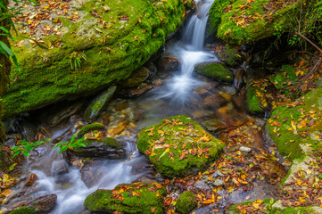 Autumn scenery of Muyu Xiangxiyuan in Shennongjia, Hubei, China

