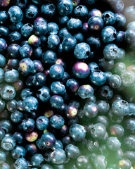 Juicy round berries from farmers market