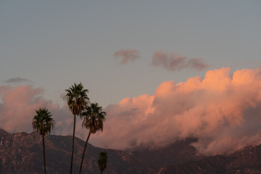 Palm trees against rain colorful clouds over the San Gabriel Mountains in Southern California at sunset.