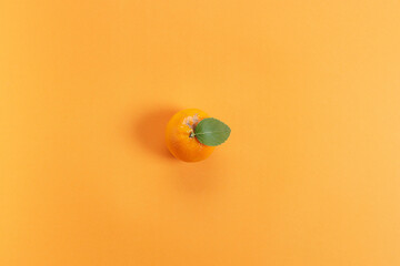 fresh orange on orange color paper background
