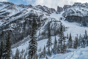 Rocky Mountain near Lake Louise