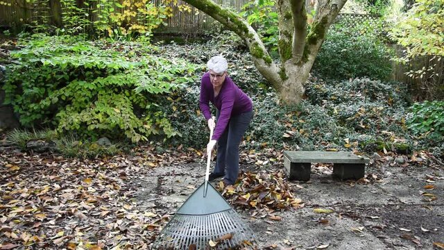 Middle aged woman raking up fall leaves off a backyard patio 
