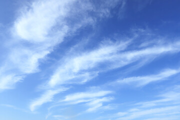 Obraz premium 青空 19 秋の空