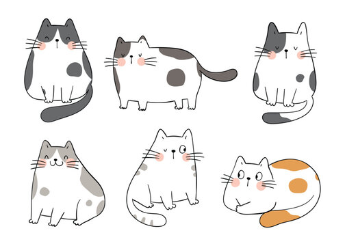 Draw collection adorable cats.Doodle cartoon style.