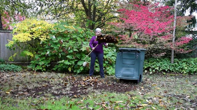 Middle aged woman shoveling a pile fall leaves off a backyard lawn into a yard waste container

