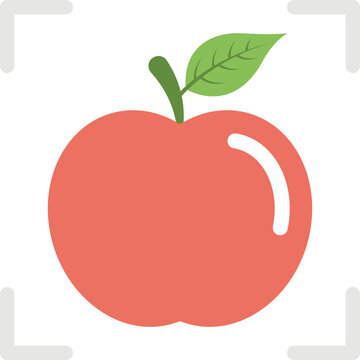 
Flat vector icon of an apple fruit in focus
