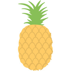 
Pineapple, fruit flat design vector icon
