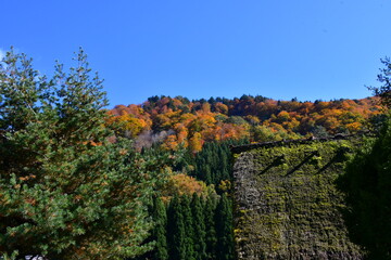 World Heritage Shirakawa-go Autumn Japan
世界遺産白川郷合掌造り集落