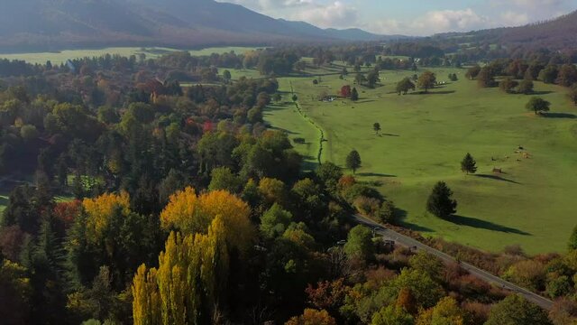 La riserva naturale dei Pratoni del Vivaro ai Castelli Romani, italia