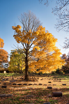 Lakeview Cemetery in cleveland ohio in fall