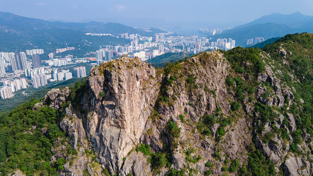 Lion Rock Landscape With Shatin 