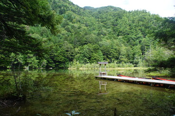 小さな池の鳥居