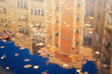 Building is reflected in puddle with fallen leaves maple and birch