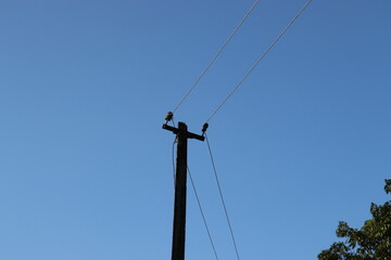 a view of electric pole with wires with blue sky background.