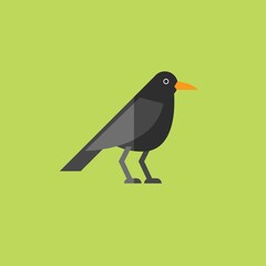 bird icon vector full color