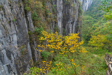 Autumn scenery of Enshi Grand Canyon Scenic Area, Hubei, China