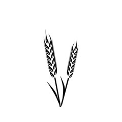 Wheat icon isolated on white background