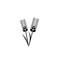 Wheat icon isolated on white background