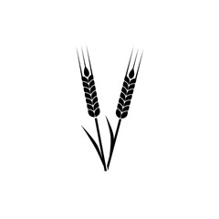 Wheat icon isolated on white background