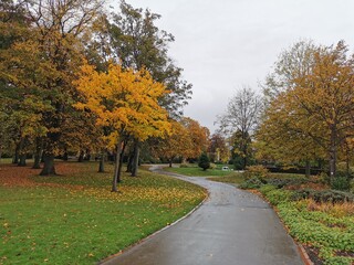 autumn in the park