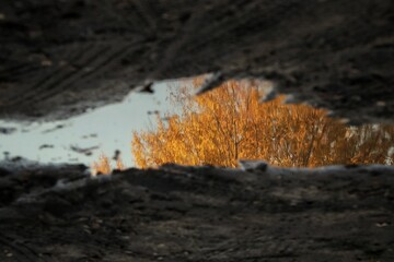Spiegelung im Wasser