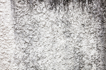 weathered and moldy white painted grunge wall background