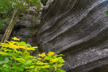 Enshi Suobuya Stone Forest Scenic Area, Hubei, China