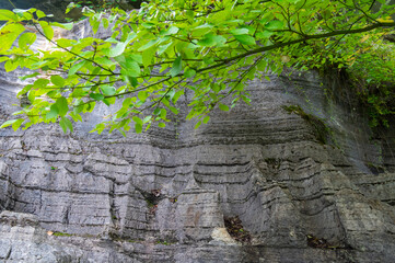 Enshi Suobuya Stone Forest Scenic Area, Hubei, China