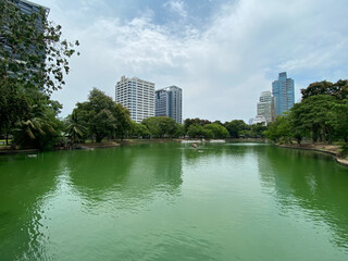 Fototapeta premium View across pond in park 