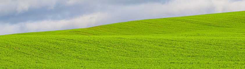 Obraz premium Green grass field on hills and blue sky with clouds in the countryside. Natural landscape